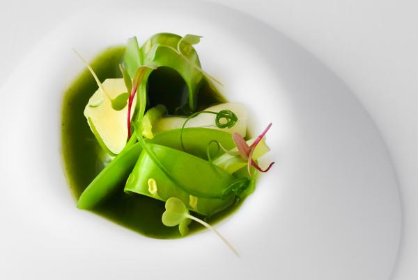 Minimalist vegetable plate with beans, asparagus and green sprouts